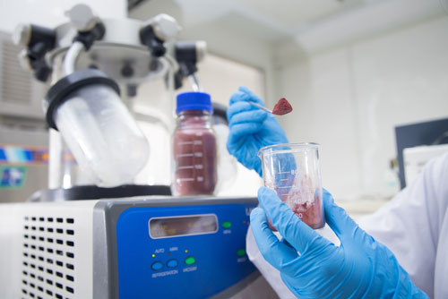 pharmaceutical formulation drug preformulation